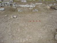 Cronica Cercetărilor Arheologice din România, Campania 2007. Raportul nr. 1.<br /> Sectorul basilica.