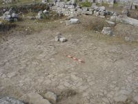 Cronica Cercetărilor Arheologice din România, Campania 2007. Raportul nr. 1.<br /> Sectorul basilica.