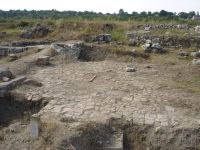 Cronica Cercetărilor Arheologice din România, Campania 2007. Raportul nr. 1.<br /> Sectorul basilica.