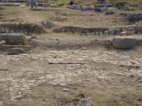 Cronica Cercetărilor Arheologice din România, Campania 2007. Raportul nr. 1.<br /> Sectorul basilica.
