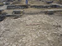 Cronica Cercetărilor Arheologice din România, Campania 2007. Raportul nr. 1.<br /> Sectorul basilica.