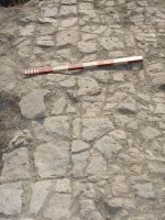 Cronica Cercetărilor Arheologice din România, Campania 2007. Raportul nr. 1.<br /> Sectorul basilica.