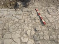 Cronica Cercetărilor Arheologice din România, Campania 2007. Raportul nr. 1.<br /> Sectorul basilica.