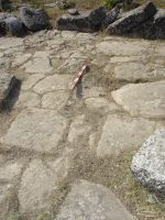 Cronica Cercetărilor Arheologice din România, Campania 2007. Raportul nr. 1.<br /> Sectorul basilica.