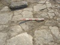 Cronica Cercetărilor Arheologice din România, Campania 2007. Raportul nr. 1.<br /> Sectorul basilica.