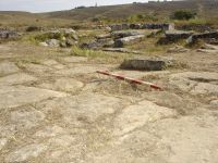 Cronica Cercetărilor Arheologice din România, Campania 2007. Raportul nr. 1.<br /> Sectorul basilica.