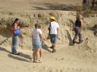 Cronica Cercetărilor Arheologice din România, Campania 2007. Raportul nr. 1.<br /> Sectorul basilica.