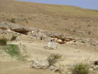 Cronica Cercetărilor Arheologice din România, Campania 2007. Raportul nr. 1.<br /> Sectorul basilica.