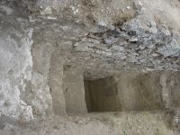 Cronica Cercetărilor Arheologice din România, Campania 2007. Raportul nr. 1.<br /> Sectorul basilica.