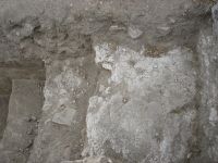 Cronica Cercetărilor Arheologice din România, Campania 2007. Raportul nr. 1.<br /> Sectorul basilica.