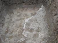Cronica Cercetărilor Arheologice din România, Campania 2007. Raportul nr. 1.<br /> Sectorul basilica.