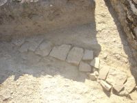 Cronica Cercetărilor Arheologice din România, Campania 2007. Raportul nr. 1.<br /> Sectorul basilica.