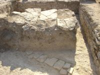 Cronica Cercetărilor Arheologice din România, Campania 2007. Raportul nr. 1.<br /> Sectorul basilica.