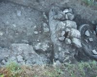 Cronica Cercetărilor Arheologice din România, Campania 2007. Raportul nr. 1.<br /> Sectorul geofizica.