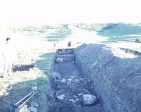 Cronica Cercetărilor Arheologice din România, Campania 2007. Raportul nr. 1.<br /> Sectorul geofizica.