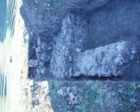 Cronica Cercetărilor Arheologice din România, Campania 2007. Raportul nr. 1.<br /> Sectorul geofizica.