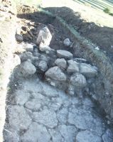 Cronica Cercetărilor Arheologice din România, Campania 2007. Raportul nr. 1.<br /> Sectorul geofizica.