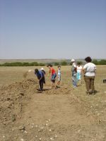 Cronica Cercetărilor Arheologice din România, Campania 2007. Raportul nr. 1.<br /> Sectorul tumul.