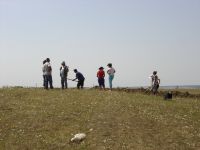 Cronica Cercetărilor Arheologice din România, Campania 2007. Raportul nr. 1.<br /> Sectorul tumul.