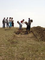 Cronica Cercetărilor Arheologice din România, Campania 2007. Raportul nr. 1.<br /> Sectorul tumul.