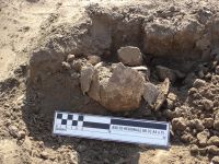 Cronica Cercetărilor Arheologice din România, Campania 2007. Raportul nr. 1.<br /> Sectorul tumul.