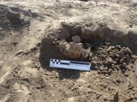 Cronica Cercetărilor Arheologice din România, Campania 2007. Raportul nr. 1.<br /> Sectorul tumul.
