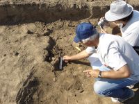 Cronica Cercetărilor Arheologice din România, Campania 2007. Raportul nr. 1.<br /> Sectorul tumul.