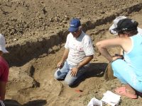 Cronica Cercetărilor Arheologice din România, Campania 2007. Raportul nr. 1.<br /> Sectorul tumul.