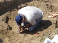 Cronica Cercetărilor Arheologice din România, Campania 2007. Raportul nr. 1.<br /> Sectorul tumul.