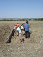 Cronica Cercetărilor Arheologice din România, Campania 2007. Raportul nr. 1.<br /> Sectorul tumul.