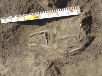 Cronica Cercetărilor Arheologice din România, Campania 2007. Raportul nr. 1.<br /> Sectorul tumul.