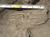 Cronica Cercetărilor Arheologice din România, Campania 2007. Raportul nr. 1.<br /> Sectorul tumul.