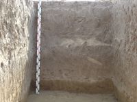 Cronica Cercetărilor Arheologice din România, Campania 2007. Raportul nr. 1.<br /> Sectorul tumul.