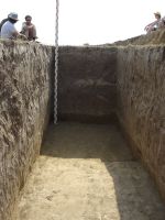 Cronica Cercetărilor Arheologice din România, Campania 2007. Raportul nr. 1.<br /> Sectorul tumul.