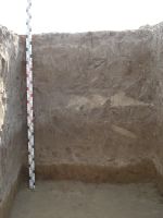 Cronica Cercetărilor Arheologice din România, Campania 2007. Raportul nr. 1.<br /> Sectorul tumul.