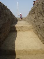 Cronica Cercetărilor Arheologice din România, Campania 2007. Raportul nr. 1.<br /> Sectorul tumul.