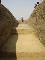 Cronica Cercetărilor Arheologice din România, Campania 2007. Raportul nr. 1.<br /> Sectorul tumul.