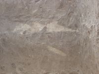 Cronica Cercetărilor Arheologice din România, Campania 2007. Raportul nr. 1.<br /> Sectorul tumul.