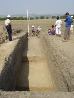 Cronica Cercetărilor Arheologice din România, Campania 2007. Raportul nr. 1.<br /> Sectorul tumul.