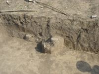 Cronica Cercetărilor Arheologice din România, Campania 2007. Raportul nr. 1.<br /> Sectorul tumul.
