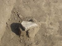 Cronica Cercetărilor Arheologice din România, Campania 2007. Raportul nr. 1.<br /> Sectorul tumul.