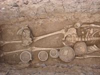 Cronica Cercetărilor Arheologice din România, Campania 2007. Raportul nr. 6
