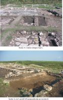 Cronica Cercetărilor Arheologice din România, Campania 2007. Raportul nr. 13