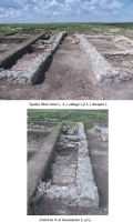 Cronica Cercetărilor Arheologice din România, Campania 2007. Raportul nr. 13