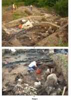 Cronica Cercetărilor Arheologice din România, Campania 2007. Raportul nr. 17
