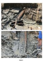 Cronica Cercetărilor Arheologice din România, Campania 2007. Raportul nr. 17