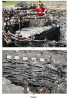 Cronica Cercetărilor Arheologice din România, Campania 2007. Raportul nr. 17