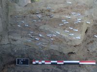 Cronica Cercetărilor Arheologice din România, Campania 2007. Raportul nr. 18
