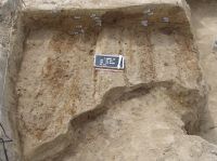 Cronica Cercetărilor Arheologice din România, Campania 2007. Raportul nr. 18