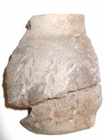 Cronica Cercetărilor Arheologice din România, Campania 2007. Raportul nr. 19